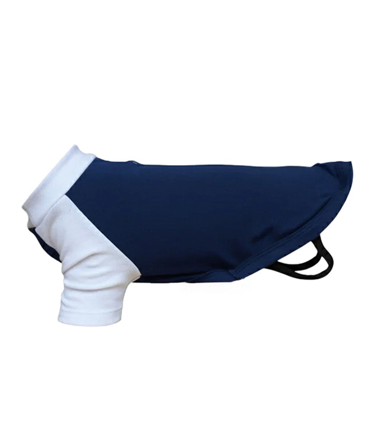 Dog’s raglan t-shirt