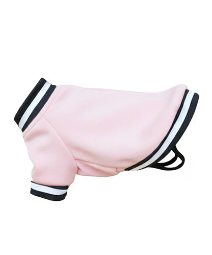 Dog’s varsity jacket